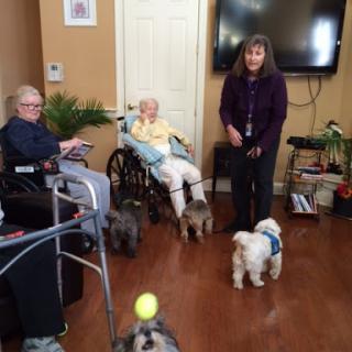 Residents of a care facility enjoying some playful moments with dogs.