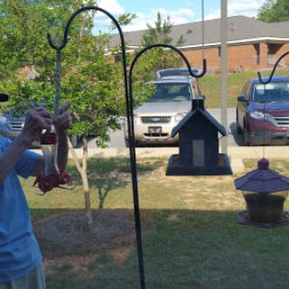 A person refilling a hummingbird feeder in their yard on a sunny day.