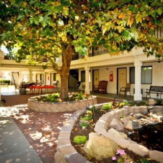 A serene courtyard with a central tree, surrounded by building structures and benches.