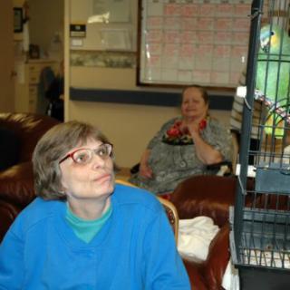 A caregiver and an elderly person in a room, with a bird cage in the foreground.