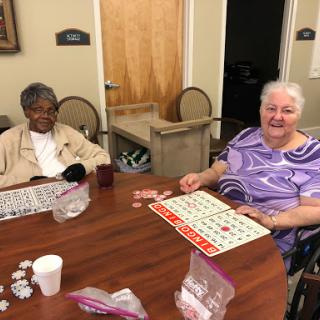 Two elderly friends enjoying a game of bingo together.