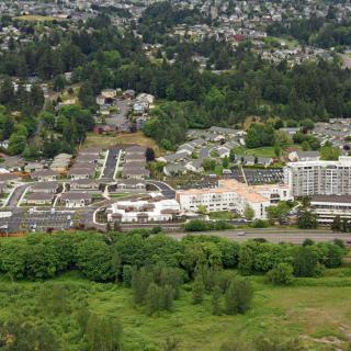 Aerial view of a suburban area with residential buildings surrounded by lush greenery and trees.