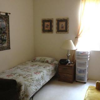 A cozy bedroom with a single bed, bedside table, and natural light streaming in from the window.