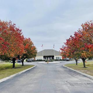 A picturesque autumn scene with vibrant red trees lining the pathway to a building.