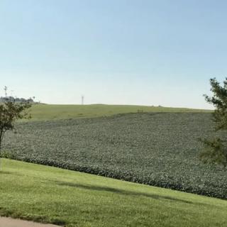 A serene landscape featuring a lush, green field with gentle hills and a clear blue sky.