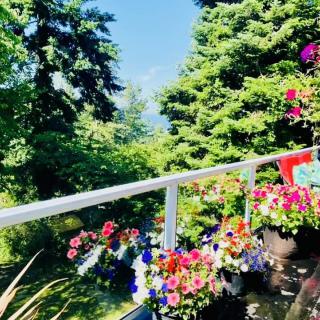 A vibrant balcony garden filled with colorful flowers surrounded by lush greenery.