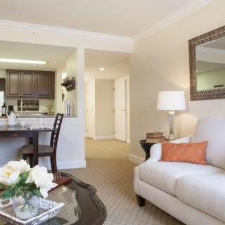 A modern open-concept living room with a view into the kitchen, featuring stylish furniture and decor.