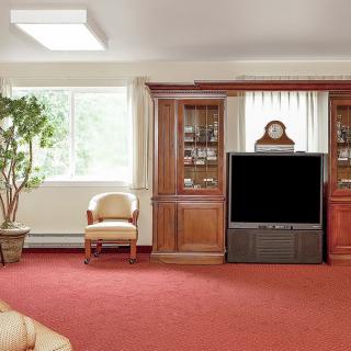 A spacious living room with red carpeting and wooden furniture, featuring a large television and a window that lets in natural light.