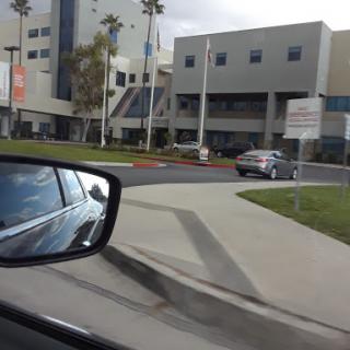 A view of a modern building with palm trees in the foreground, captured from a car.