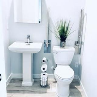 A clean, minimalist bathroom with a sink and toilet, accented by an indoor plant.
