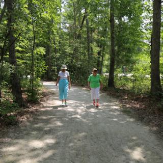 Two individuals enjoying a leisurely walk down a tree-lined path.