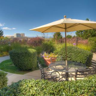 A tranquil garden patio featuring outdoor seating with an umbrella amidst lush greenery.