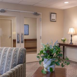 A cozy waiting area featuring comfortable seating, a decorative plant, and warm lighting.