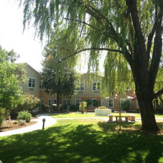 A serene outdoor space featuring lush greenery and a peaceful residential setting.