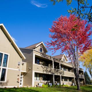 A residential apartment building with a vibrant red tree and clear blue sky.