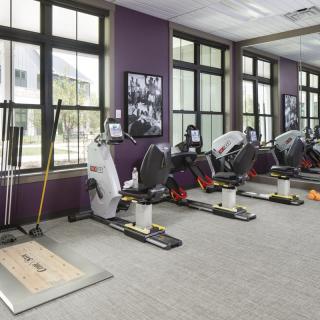 A well-equipped gym featuring exercise machines lined up against the wall.