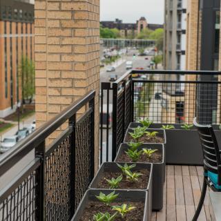 A modern urban balcony with plants and a view of the city street.