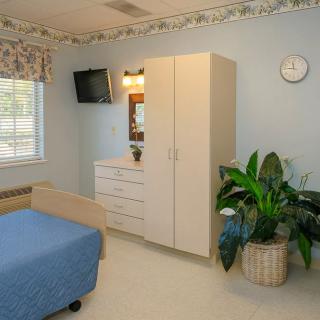 A clean and organized hospital room with a bed, wardrobe, television, and an indoor plant.