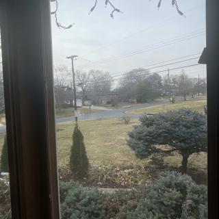 A view of a suburban street through a window on an overcast day.