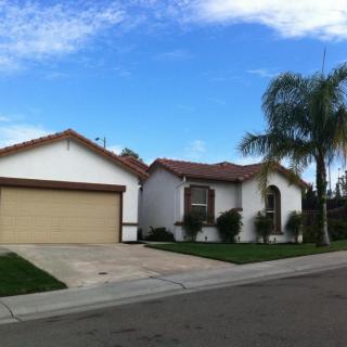 A suburban house with a garage and palm trees in the front yard.