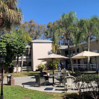 A sunny patio area with tables and umbrellas surrounded by palm trees and a building.