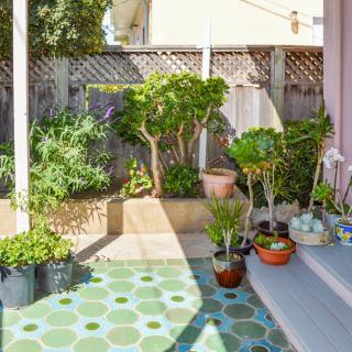 A sunny patio filled with various potted plants and greenery against a wooden fence.