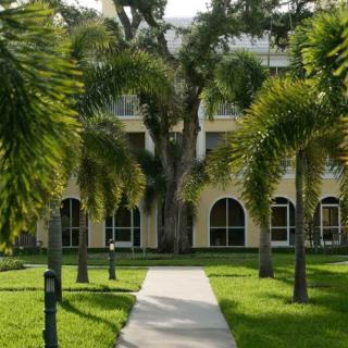 A scenic view of a building surrounded by palm trees and a well-maintained lawn.