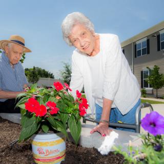 An elderly couple gardening together outdoors, surrounded by vibrant flowers.