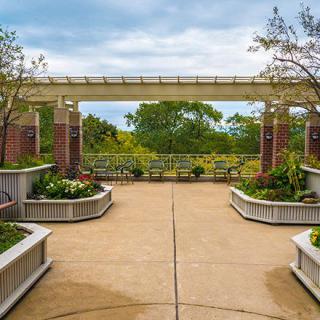 A beautifully landscaped garden walkway with trees and plants.