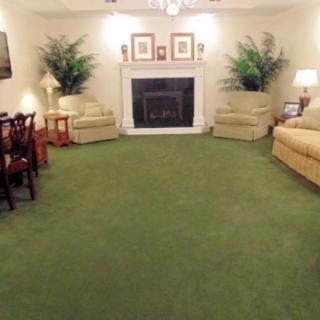 A cozy living room with a green carpet, sofas, and a fireplace, decorated with plants and lamps.