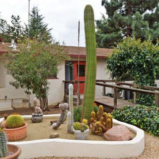 A variety of cacti and succulents are arranged in a landscaped garden area outside a house.