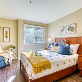 A cozy and bright bedroom featuring a neatly made bed with colorful pillows and a throw blanket, complemented by tasteful decor and ample natural light.