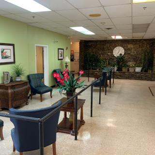 A welcoming waiting room featuring comfortable chairs and decorative plants.