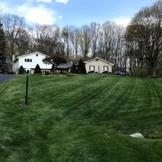 A serene view of two houses surrounded by a well-maintained lawn and trees under a partly cloudy sky.