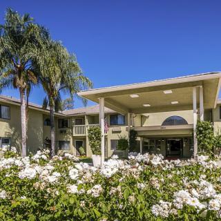 A sunny view of a building entrance surrounded by flowers and palm trees.