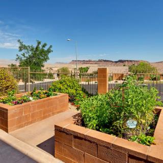 A sunny backyard garden with raised brick beds filled with lush green plants.