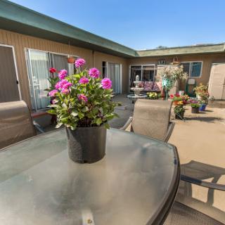 A vibrant patio adorned with blooming flowers, perfect for enjoying a sunny day.