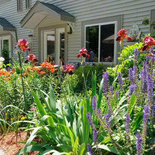 A vibrant garden with a variety of flowers in front of a house.