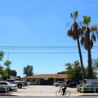 A person riding a bicycle through a parking lot on a sunny day with palm trees and cars in the background.