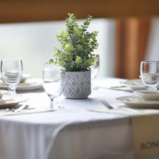 A beautifully arranged table featuring a small potted plant centerpiece and elegant glassware, perfect for dining.