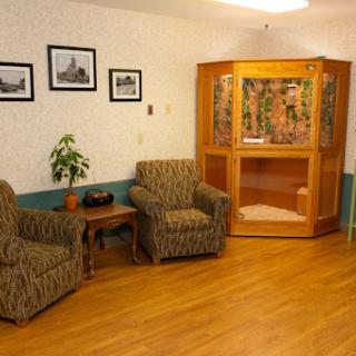 A cozy seating area featuring patterned chairs, a wooden cabinet, and framed photographs on the wall.