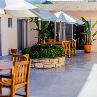 A sunny outdoor patio area with tables, chairs, umbrellas, and lush green plants.