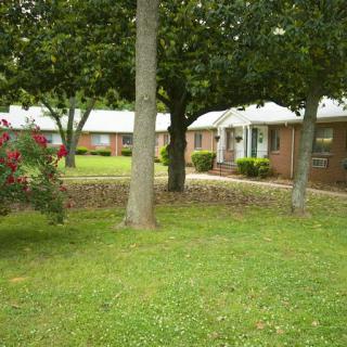 A serene view of a residential area with well-maintained grass, trees, and charming buildings.