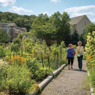 Two individuals stroll through a vibrant garden, surrounded by lush greenery and blooming flowers.