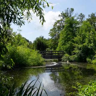 A serene landscape featuring a small bridge over a gently flowing river surrounded by lush greenery.