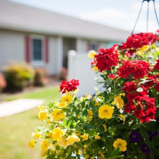 A vibrant hanging planter with red and yellow flowers brightens up the home's exterior.