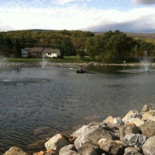 A scenic view of a lake with fountains and surrounding greenery.