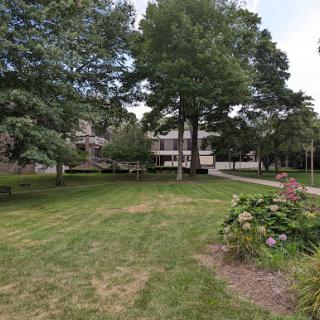 A serene outdoor space featuring lush grass, several trees, and a building in the background.