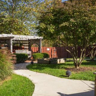 A sunny garden with a winding pathway, lush greenery, and a pergola.