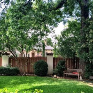 A peaceful garden with lush greenery, a wooden bench, and a surrounding fence.